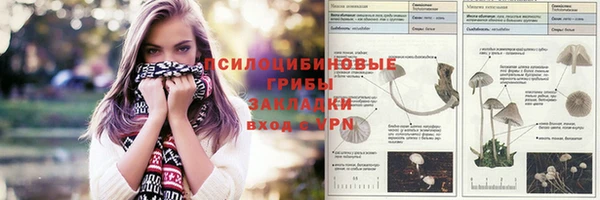 МДПВ Киренск