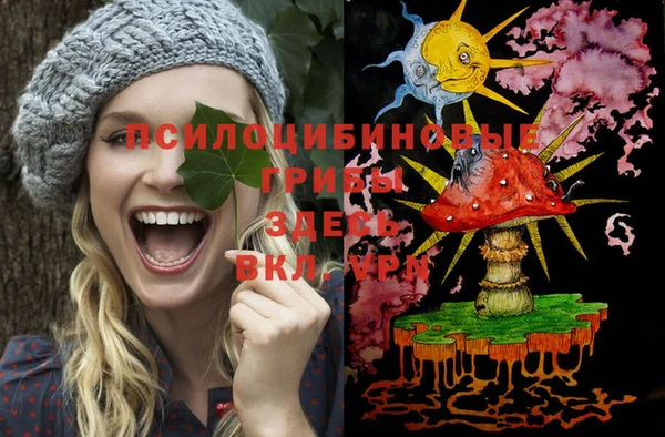 ECSTASY Киреевск